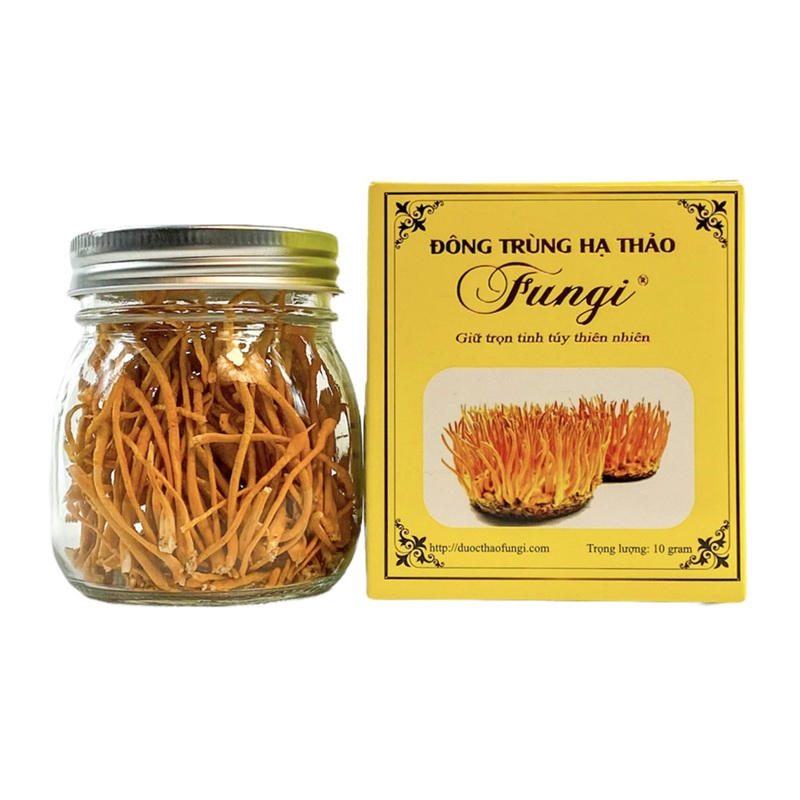 Nấm đông trùng hạ thảo sấy thăng hoa