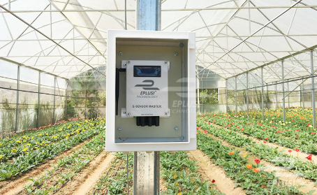 E-sensor: thiết bị cảm biến không dây phục vụ sản xuất nông nghiệp