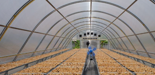 Hệ thống sấy dùng năng lượng mặt trời và ứng dụng công nghệ IoT giám sát điện năng